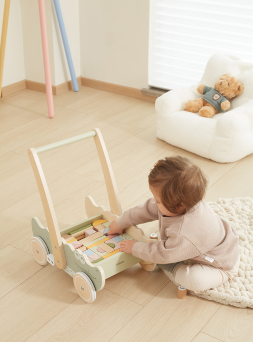 Activity Walker with Sorting Blocks - Learn to Walk & Build Fun