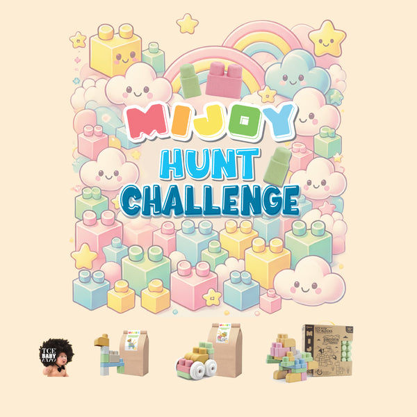 Mijoy Toy Block Hunt Challenge